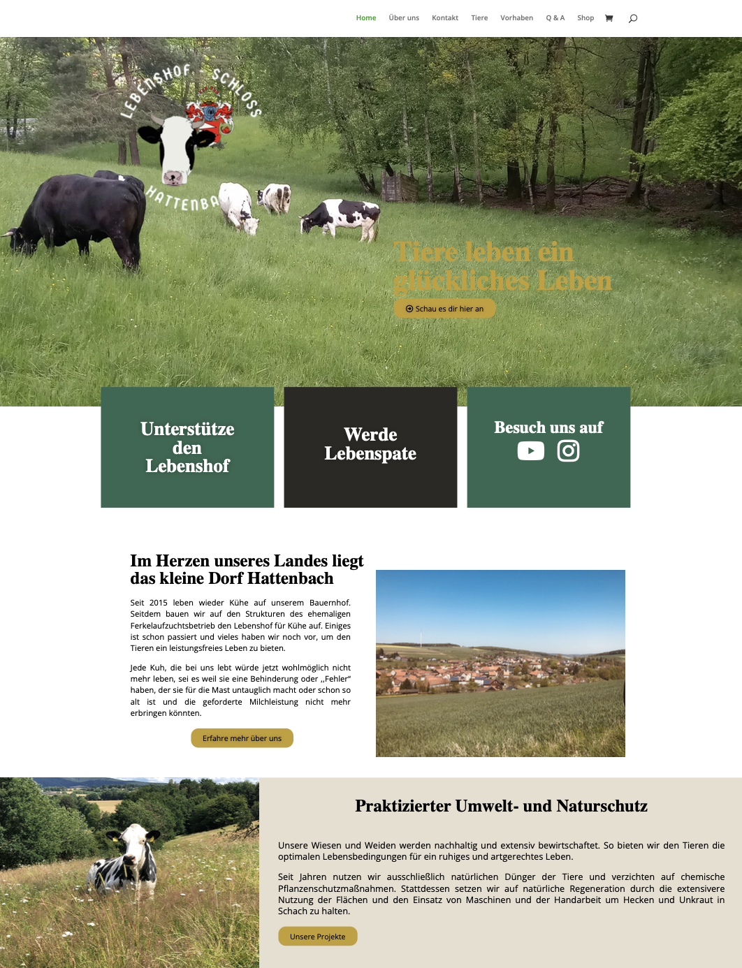 Das Bild zeigt eine Vorschau der Website www.lebenshof-schloss-hattenbach.de. Die Vorschau hilft um sich auf der Seite als Onlinemarketing Experte zu positionieren.